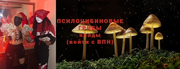 jwh Каменка