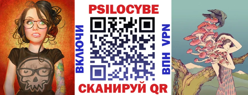 Псилоцибиновые грибы Psilocybe  Купить закладки  Обоянь 